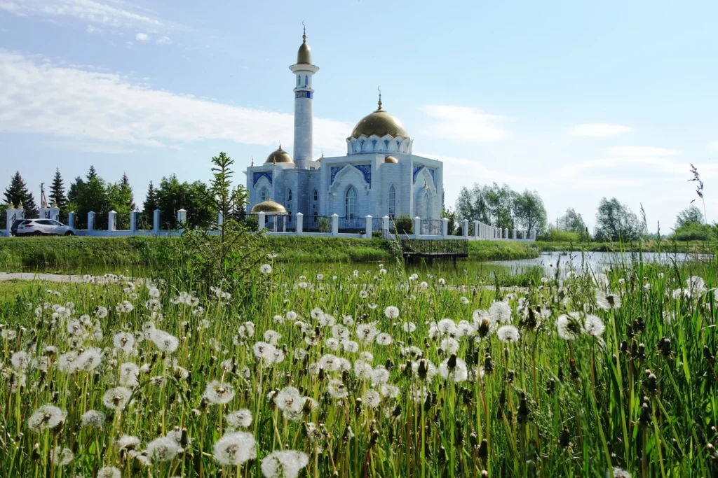 Красавица "Суфия" в Кантюковке