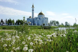 Красавица "Суфия" в Кантюковке