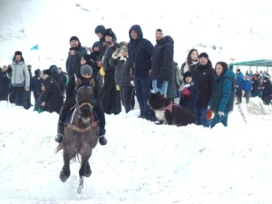 Скачки